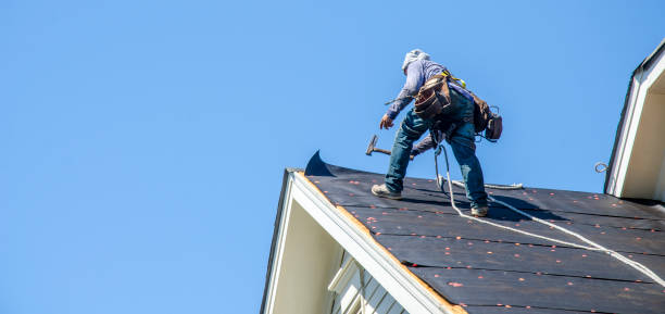 Best Local Roofing Companies  in Pahala, HI
